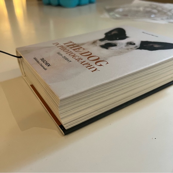 Taschen Dog book by Raymond Merrit - Picture 3 of 6